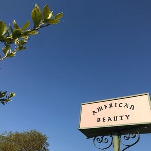 Meet your Posher, Roro